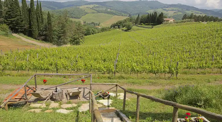 Apartment in Radda in Chianti