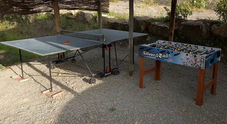 Apartment in Radda in Chianti