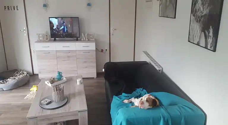 Landhaus in Hippolytushoef