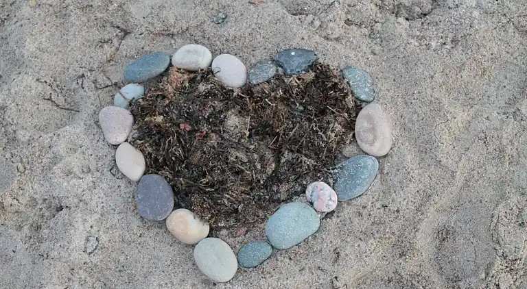 Bungalow in Rethwisch