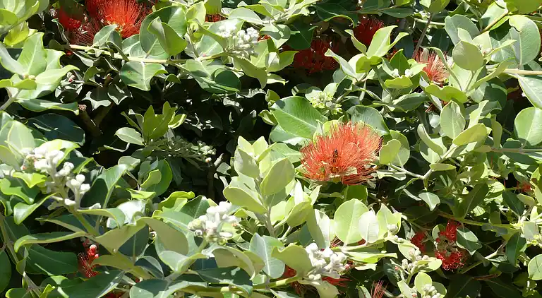 Villa en Benitachell