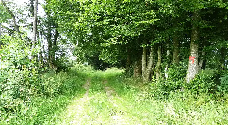 Holiday home in Signy-le-Petit