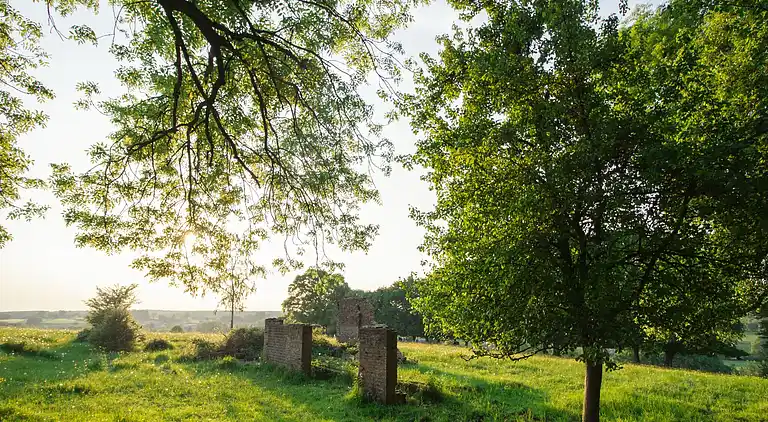 Holiday home in Signy-le-Petit