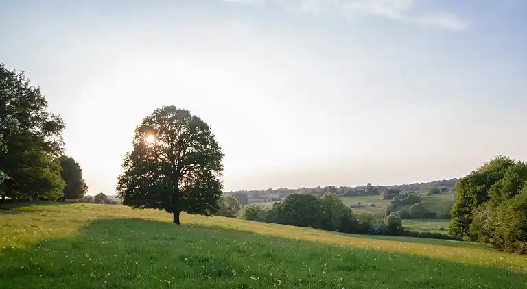 Holiday home in Signy-le-Petit