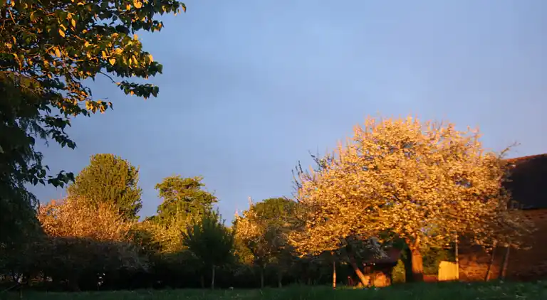 Holiday home in Le Moustoir