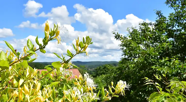 Holiday home in Carlux