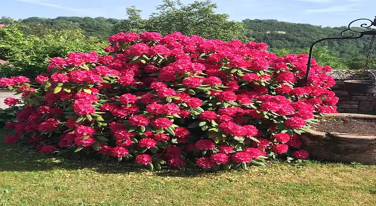 Holiday home in Hommert