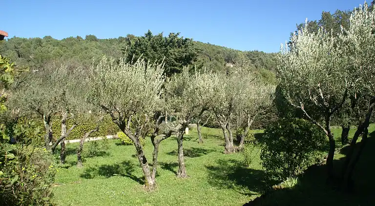 Holiday home in Saint-Antonin-du-Var