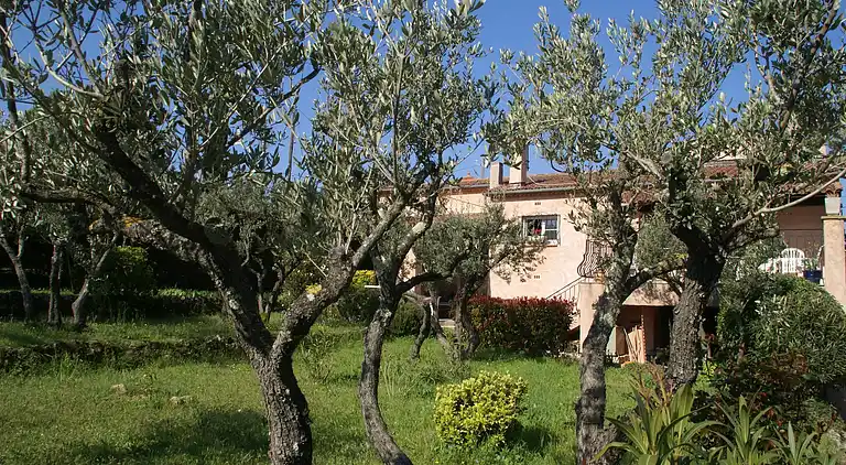 Holiday home in Saint-Antonin-du-Var
