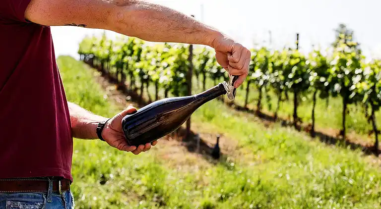 Farm house in Santa Maria della Versa