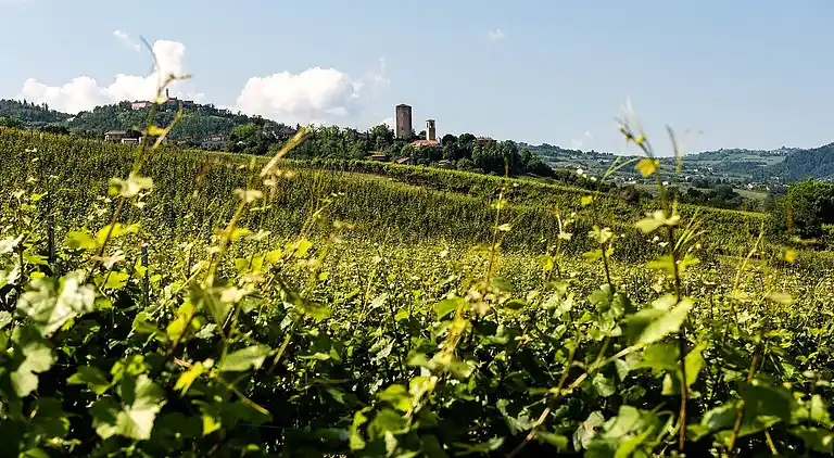 Farm house in Santa Maria della Versa