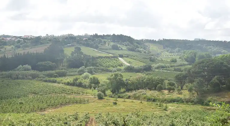 Villa in Salir de Matos