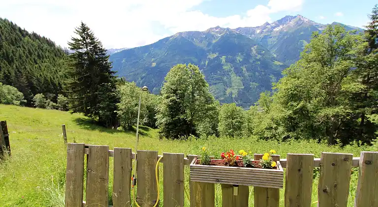 Chalet in Pfaffenberg