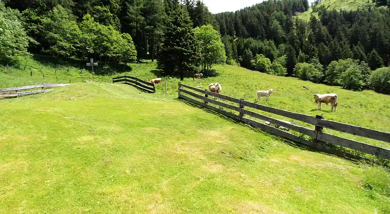 Chalet in Pfaffenberg
