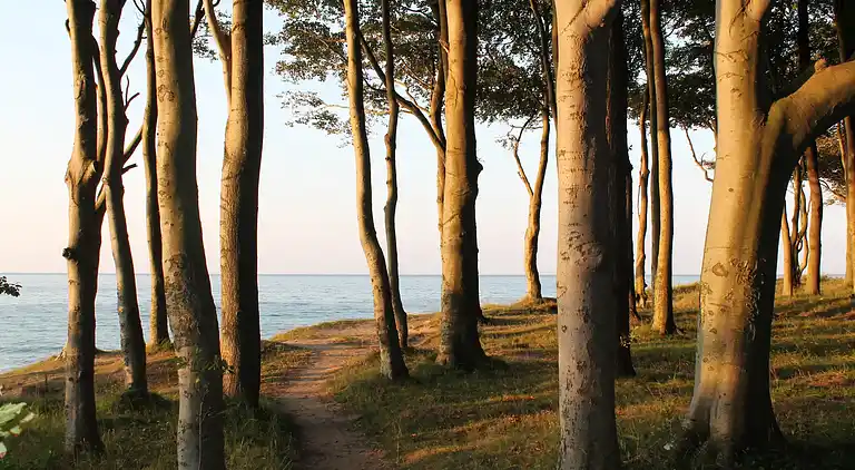 Apartment in Nienhagen