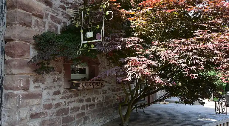 Holiday home in Niderviller