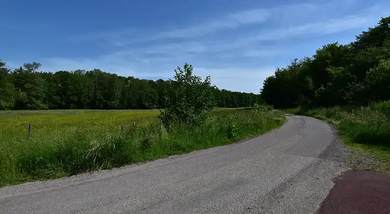 Sommerhus i Niderviller