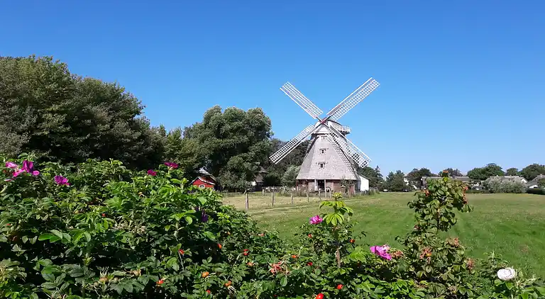 Apartment in Ahrenshoop