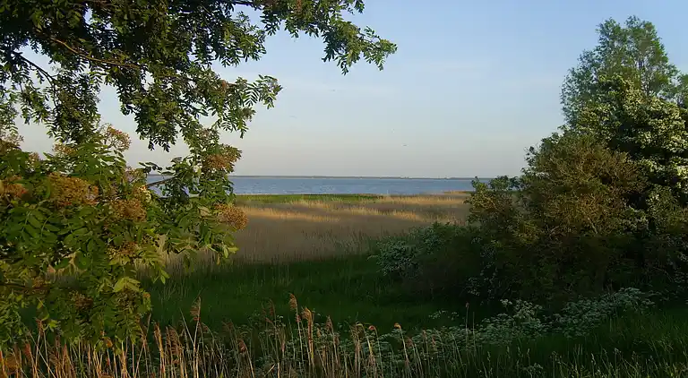 Ferielejlighed i Ahrenshoop