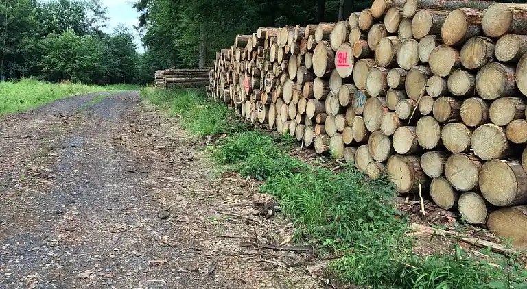 Ferienwohnung in Ellar