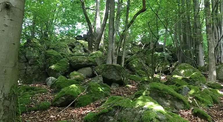 Ferienwohnung in Ellar