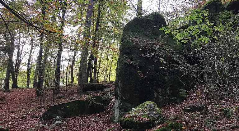 Ferienwohnung in Ellar