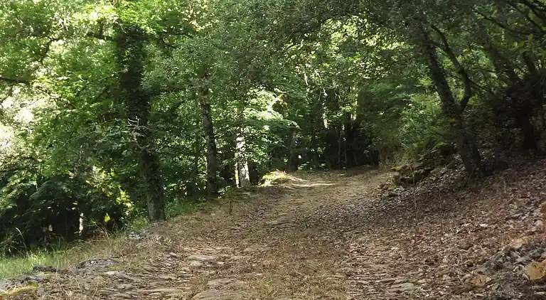 Holiday home in Loubejac