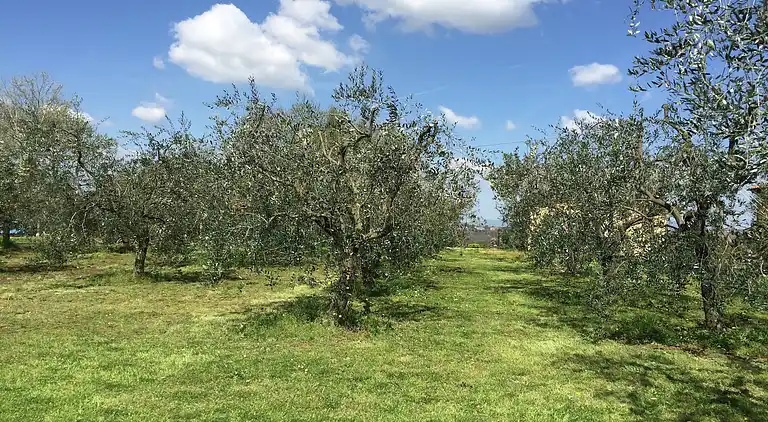 Herregård i Pian di Scò