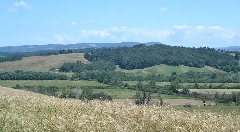 Ferienhaus in Peccioli