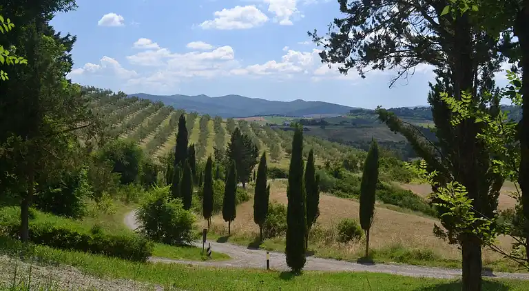 Ferienhaus in Peccioli