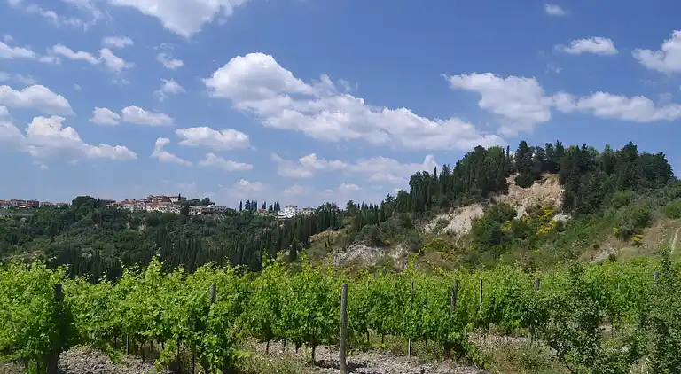 Ferienhaus in Peccioli