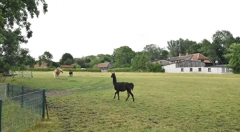 Gårdhus i Kühlungsborn