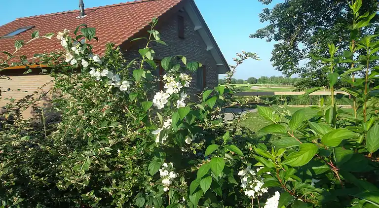Holiday home in Kesteren