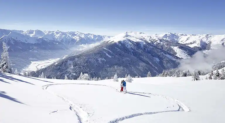 Vakantiehuis in Mittersill