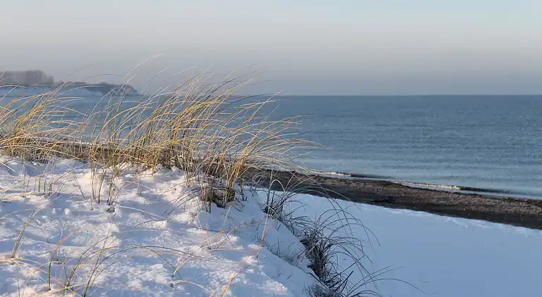 Apartment in Alt Farpen