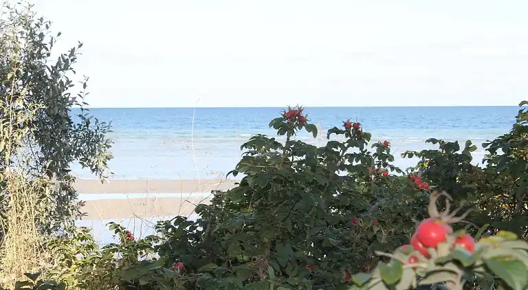 Apartment in Alt Farpen