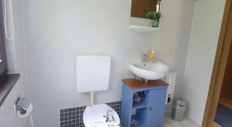 Ferielejlighed i Feriendorf Frankenau