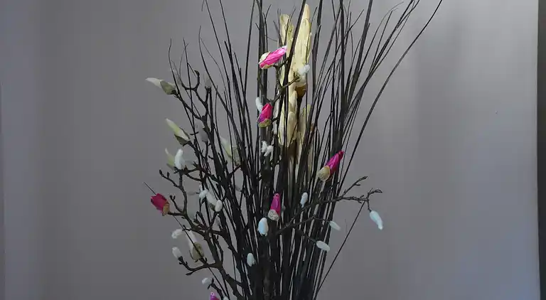 Appartement in Fosse