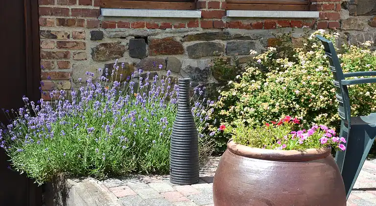 Appartement in Fosse