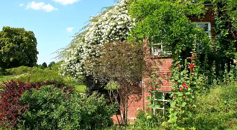 Ferielejlighed i Eixen