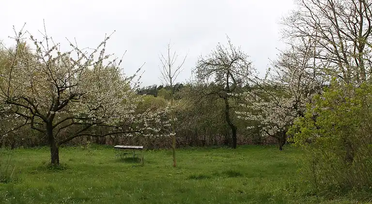 Ferienwohnung in Neuburg