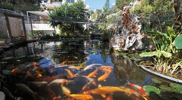 Villa i Cap Martinet