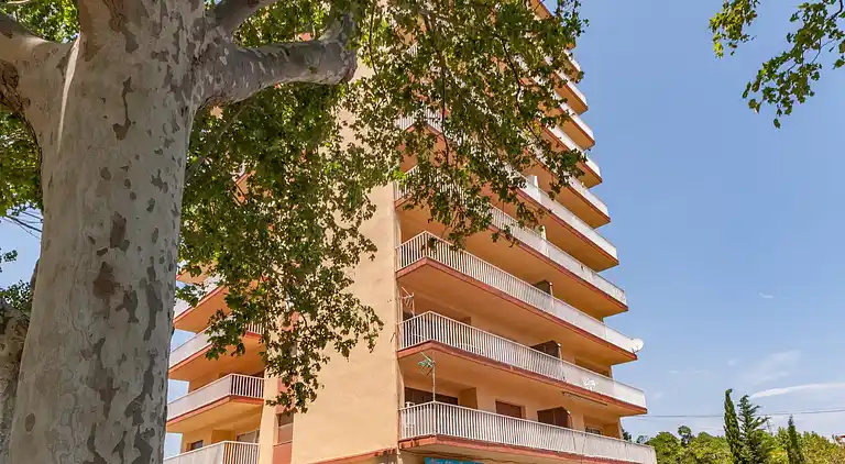 Apartment in Bon Relax