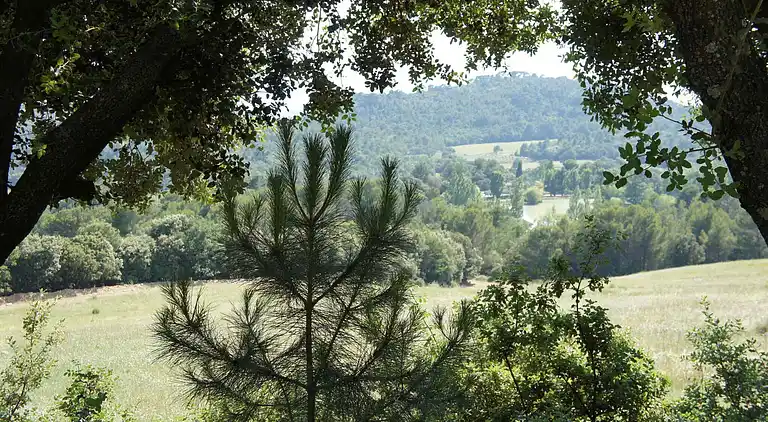 Vakantiehuis in Villecroze