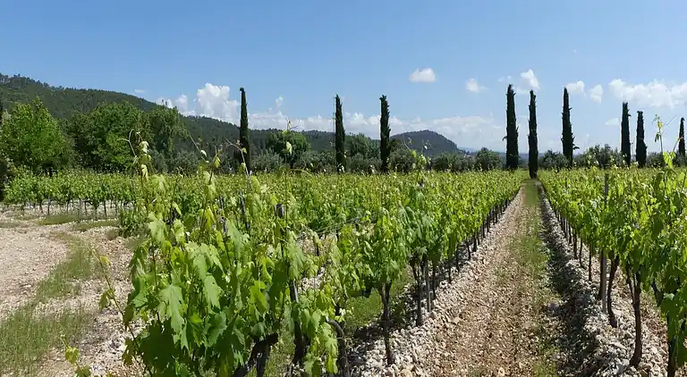 Sommerhus i Roquebrune-sur-Argens