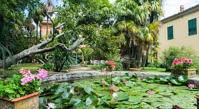 Gårdshus i Carmignano