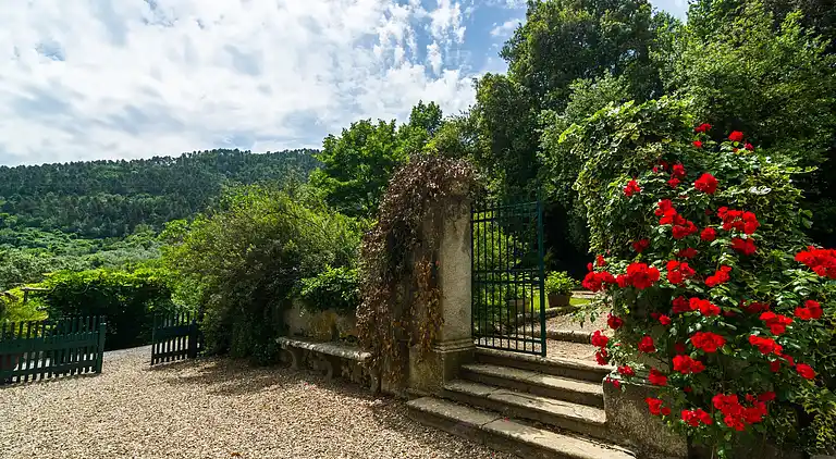 Farm house in Carmignano