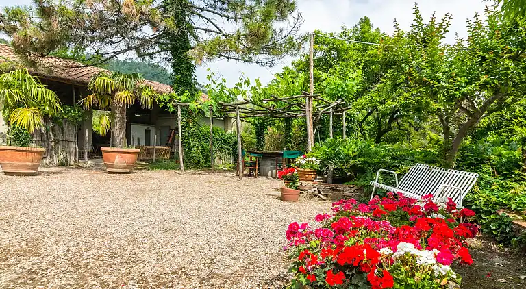 Gårdshus i Carmignano