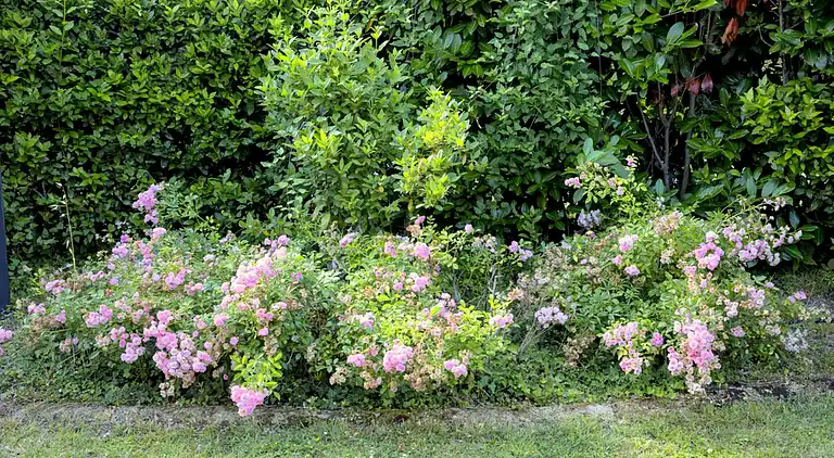 Holiday home in Montebello di Mezzo