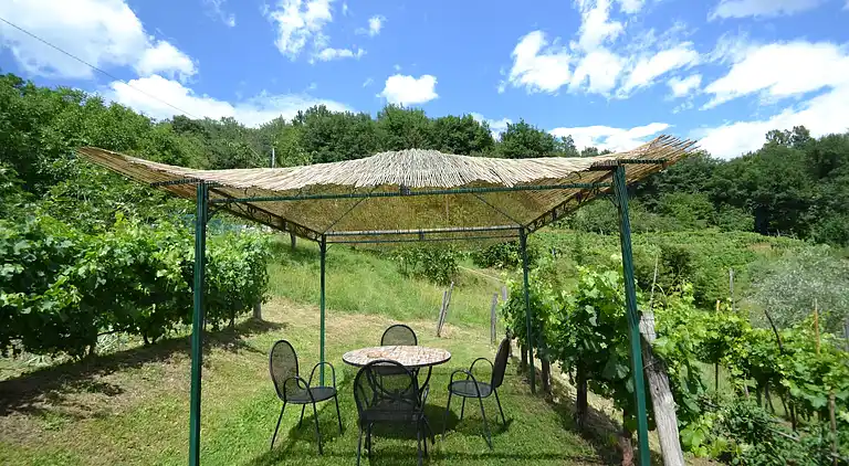 Sommerhus i Molazzana